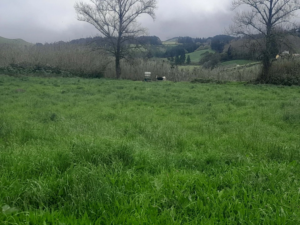 Terreno para Venda em Lagoa (Santa Cruz) Foto 4