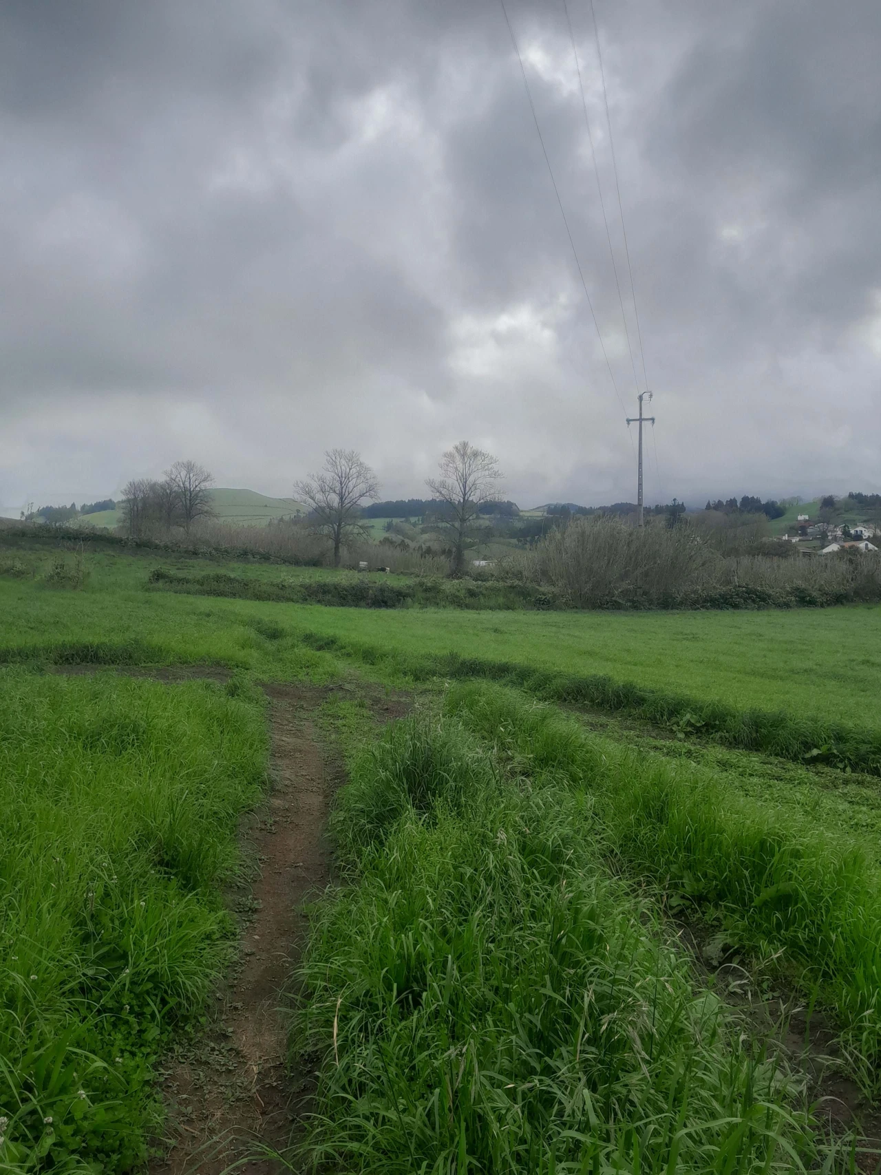 Terreno para Venda em Lagoa (Santa Cruz) Foto 6