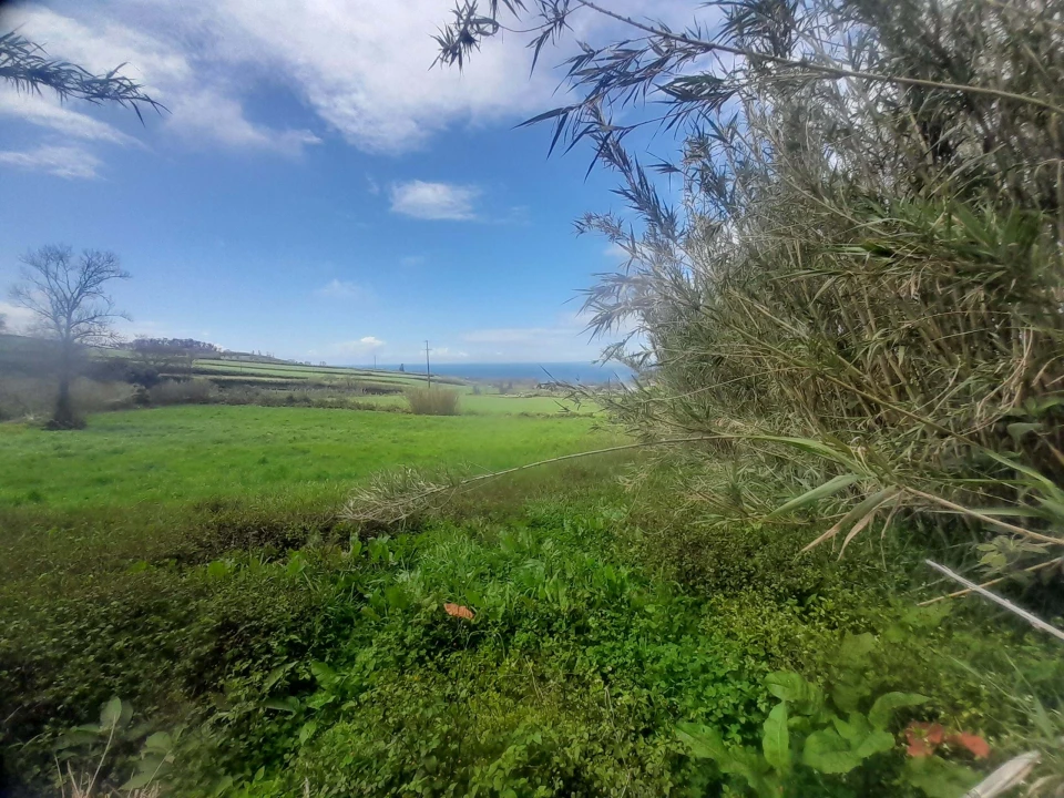 Terreno para Venda em Lagoa (Santa Cruz) Foto 5