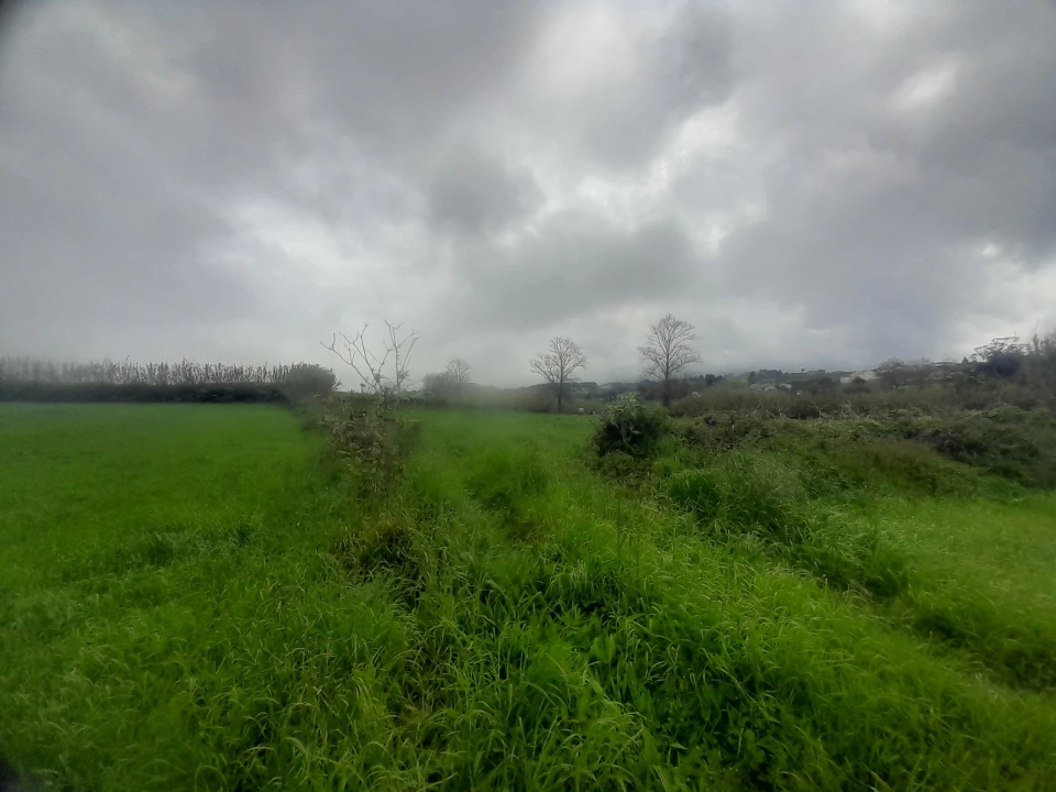 Terreno para Venda em Lagoa (Santa Cruz) Foto 10