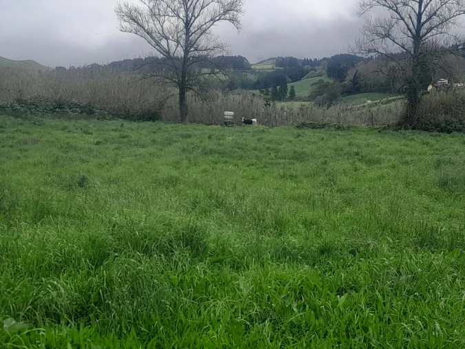 Terreno para Venda em Lagoa (Santa Cruz) Foto 4
