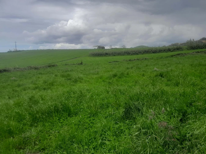 Terreno para Venda em Lagoa (Santa Cruz) Foto 3