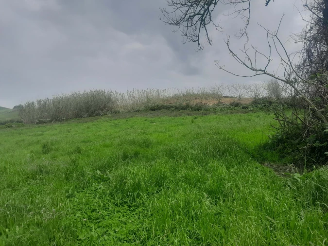 Terreno para Venda em Lagoa (Santa Cruz) Foto 7