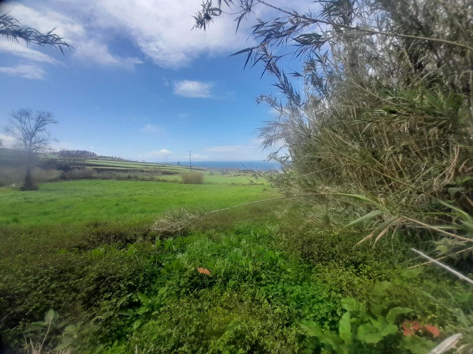Terreno para Venda em Lagoa (Santa Cruz) Foto 5