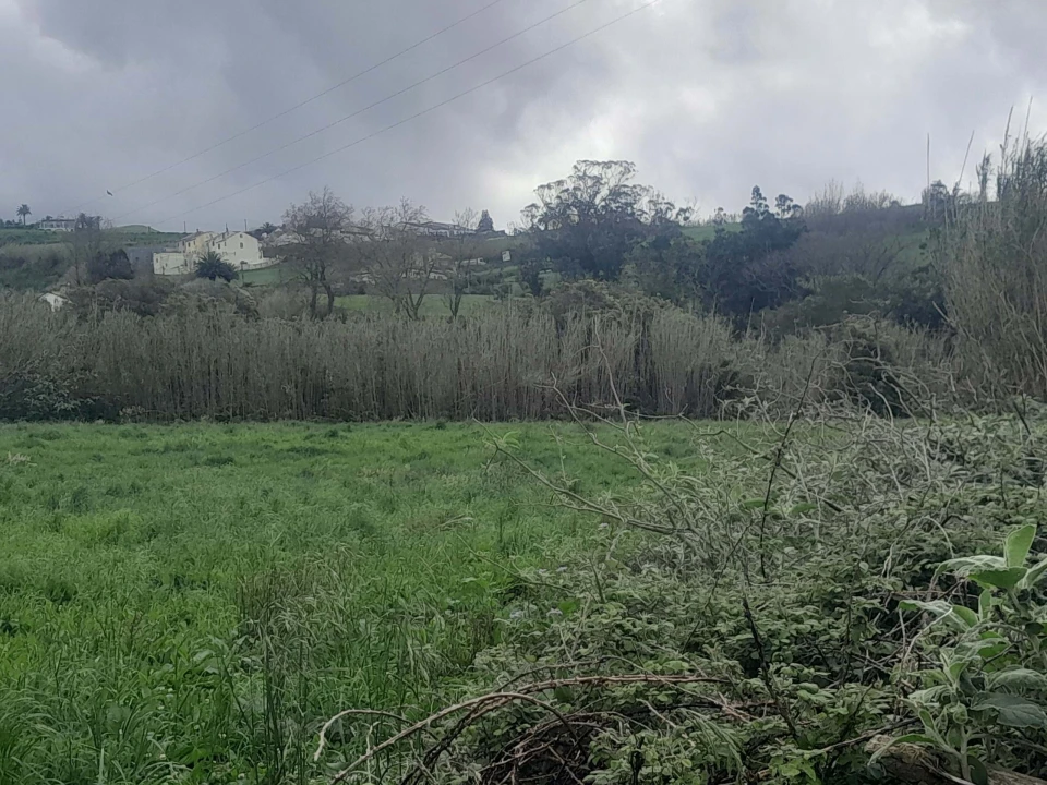 Terreno para Venda em Lagoa (Santa Cruz) Foto 9