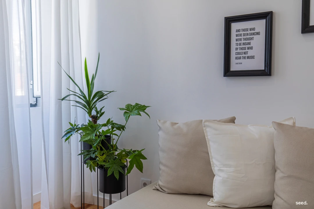 Prédio para Venda em São Vicente Foto 39