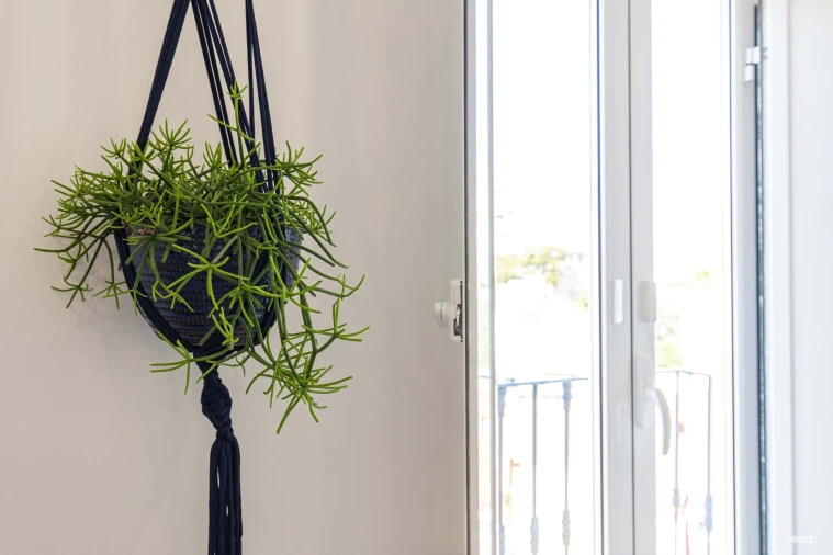 Prédio para Venda em São Vicente Foto 33