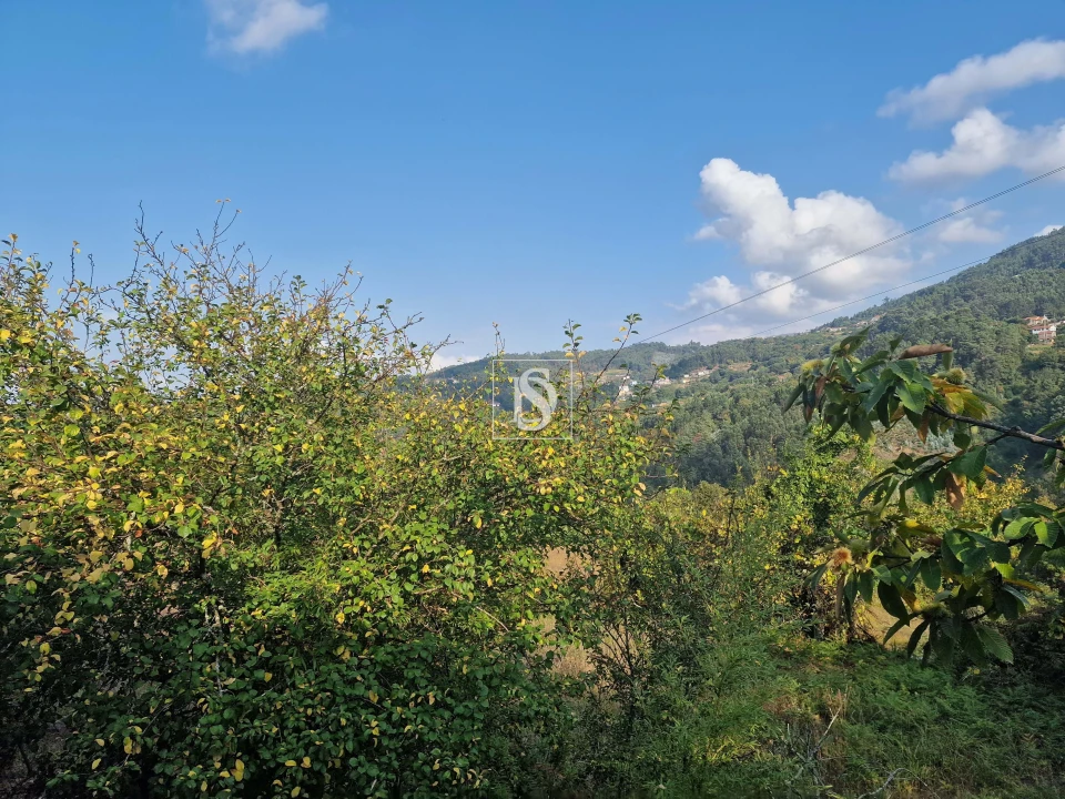 Moradia T3 para Venda em Chave Foto 28