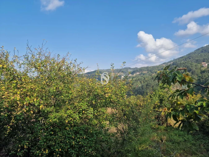 Moradia T3 para Venda em Chave Foto 28