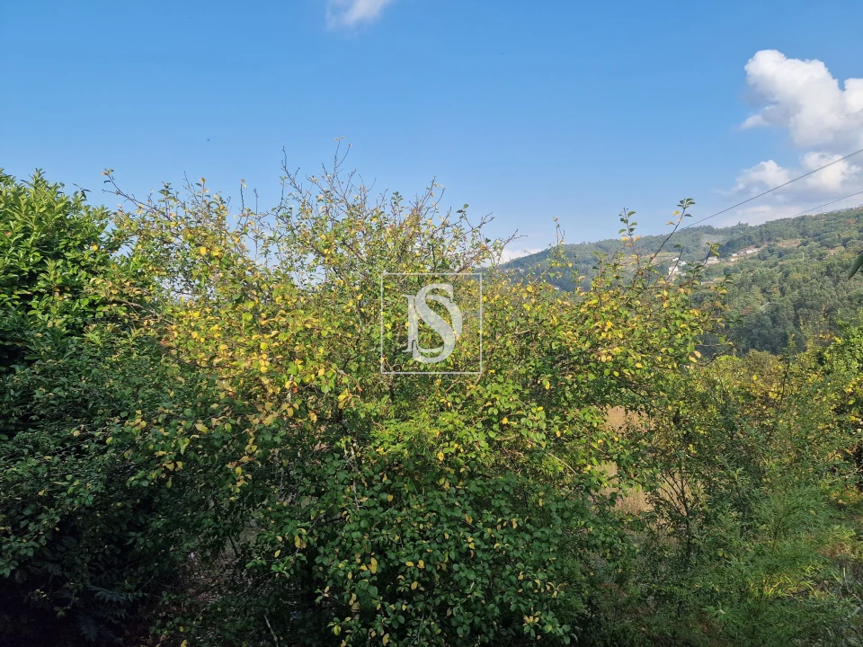 Moradia T3 para Venda em Chave Foto 21