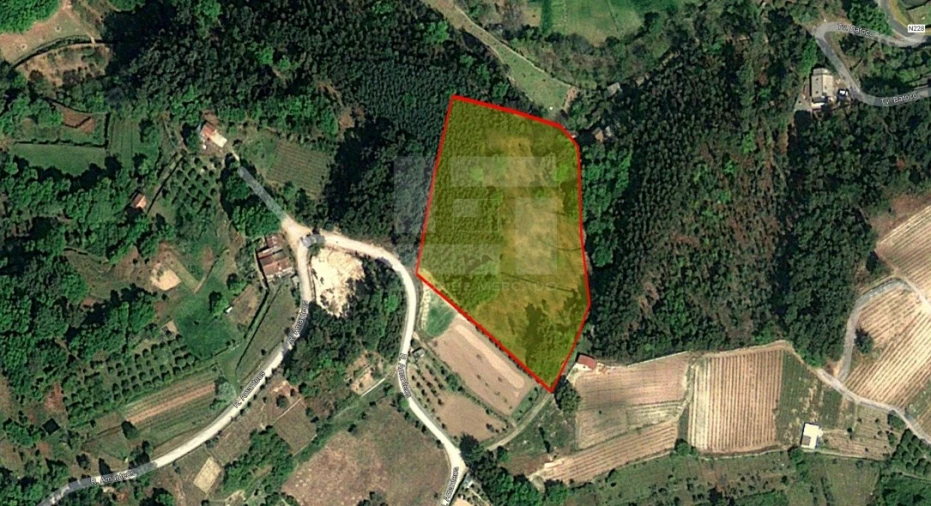 Terreno Agricola ou Rústico para Venda em Campo de Besteiros