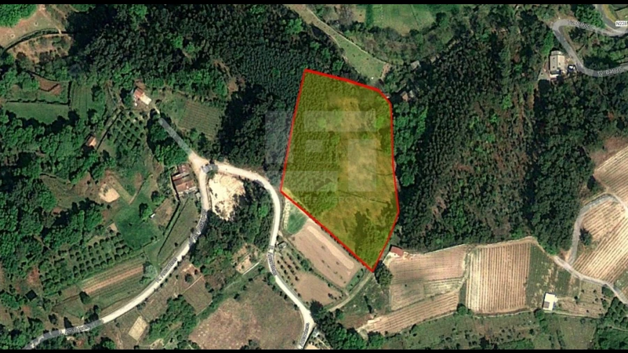 Terreno Agricola ou Rústico para Venda em Campo de Besteiros