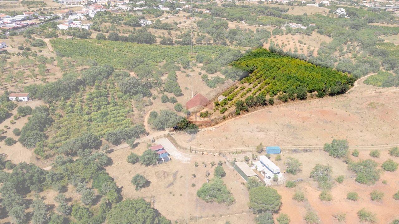 Terreno Agricola ou Rústico para Venda em Albufeira e Olhos de Água Foto 34