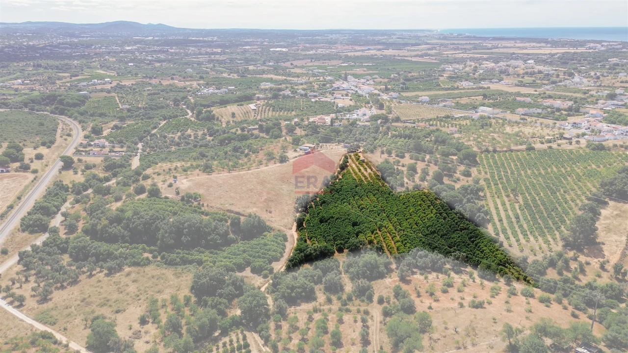 Terreno Agricola ou Rústico para Venda em Albufeira e Olhos de Água Foto 22