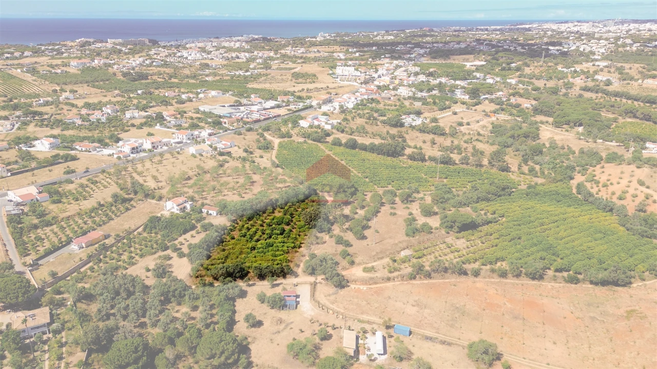 Terreno Agricola ou Rústico para Venda em Albufeira e Olhos de Água Foto 10