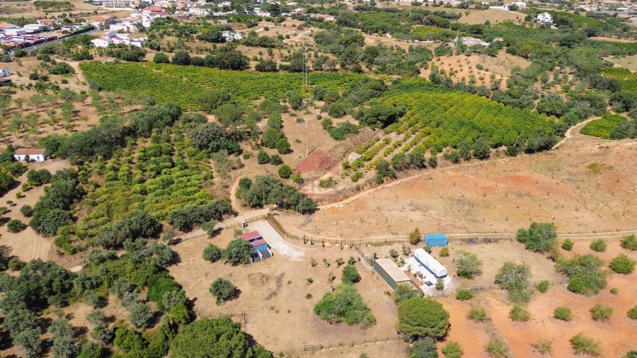 Terreno Agricola ou Rústico para Venda em Albufeira e Olhos de Água Foto 36