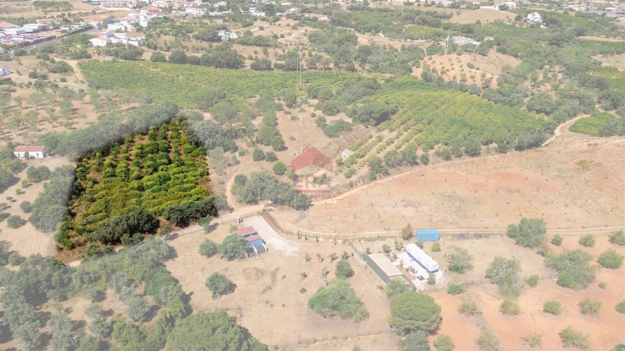 Terreno Agricola ou Rústico para Venda em Albufeira e Olhos de Água Foto 35