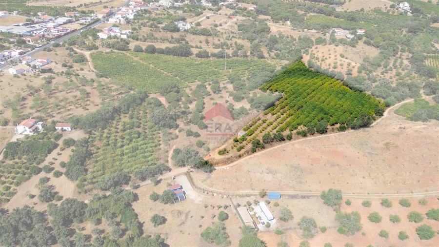 Terreno Agricola ou Rústico para Venda em Albufeira e Olhos de Água Foto 6