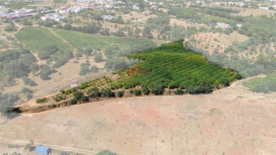 Terreno Agricola ou Rústico para Venda em Albufeira e Olhos de Água Foto 30