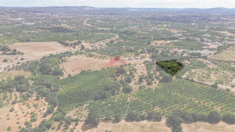 Terreno Agricola ou Rústico para Venda em Albufeira e Olhos de Água Foto 23