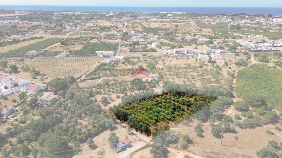 Terreno Agricola ou Rústico para Venda em Albufeira e Olhos de Água Foto 25