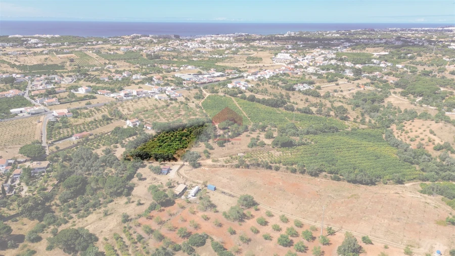 Terreno Agricola ou Rústico para Venda em Albufeira e Olhos de Água Foto 15
