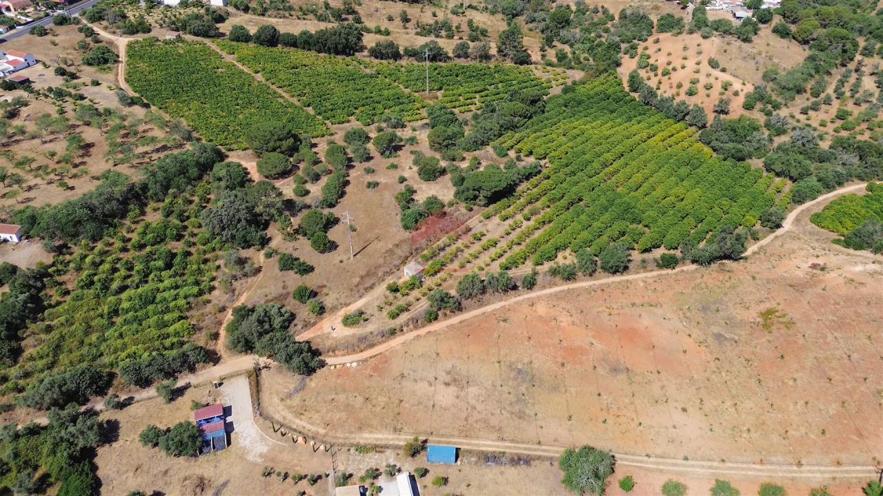 Terreno Agricola ou Rústico para Venda em Albufeira e Olhos de Água Foto 5