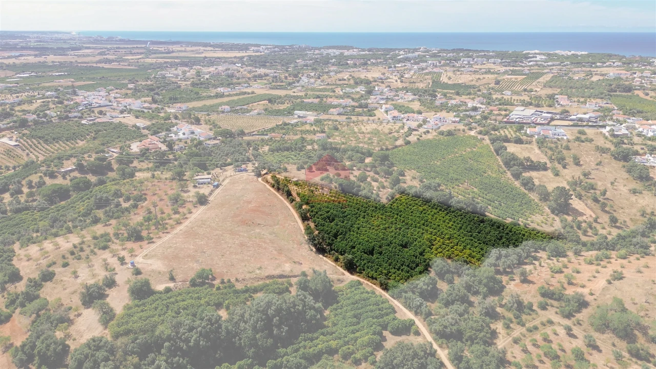 Terreno Agricola ou Rústico para Venda em Albufeira e Olhos de Água Foto 21