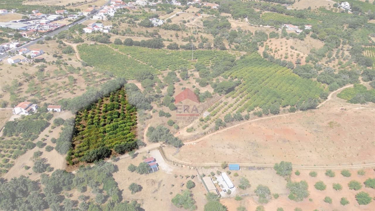 Terreno Agricola ou Rústico para Venda em Albufeira e Olhos de Água Foto 7