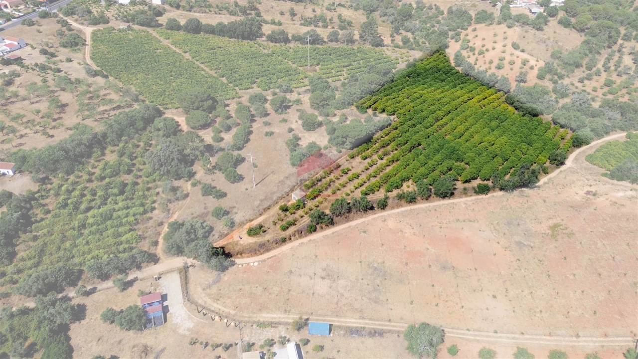 Terreno Agricola ou Rústico para Venda em Albufeira e Olhos de Água Foto 4
