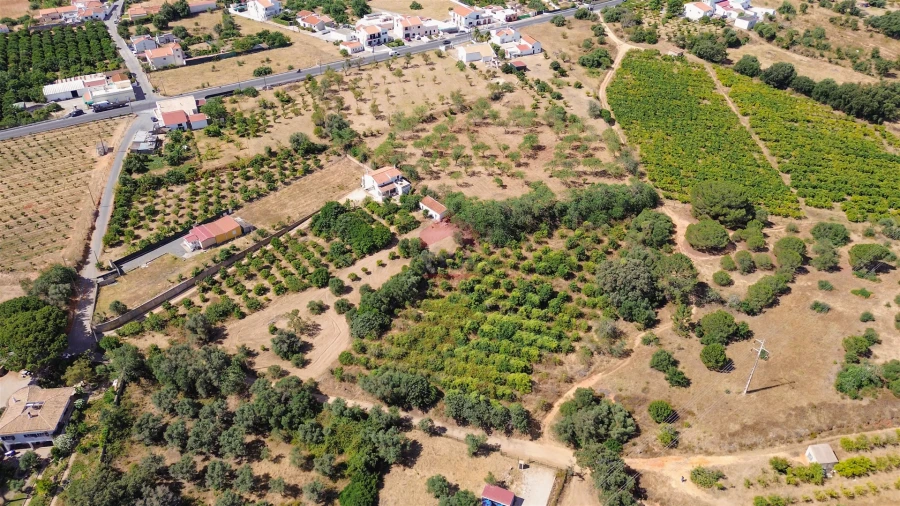 Terreno Agricola ou Rústico para Venda em Albufeira e Olhos de Água Foto 4