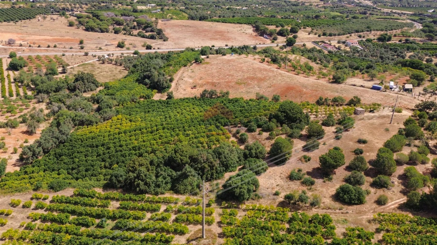 Terreno Agricola ou Rústico para Venda em Albufeira e Olhos de Água Foto 41