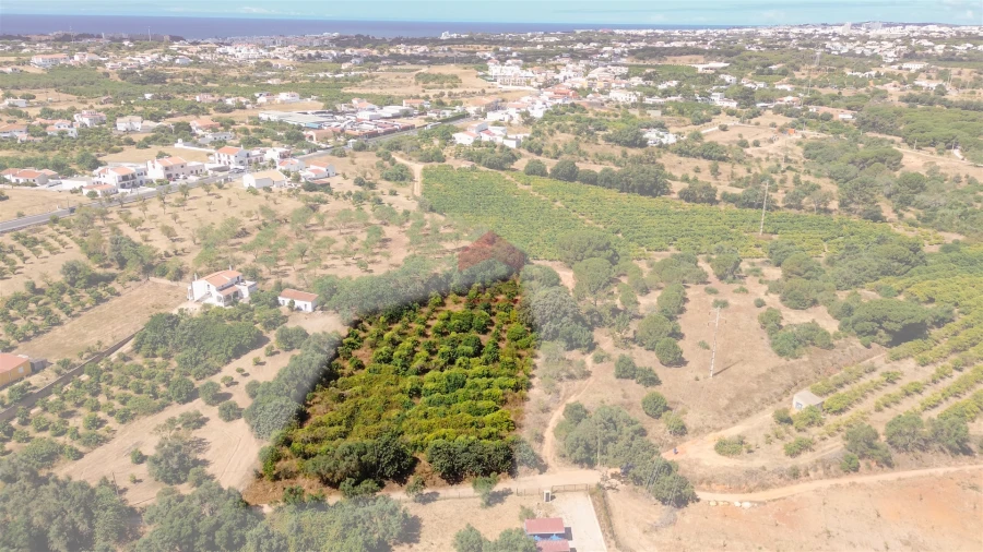 Terreno Agricola ou Rústico para Venda em Albufeira e Olhos de Água Foto 34