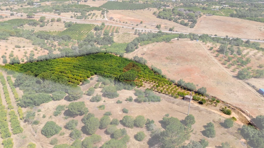 Terreno Agricola ou Rústico para Venda em Albufeira e Olhos de Água Foto 38
