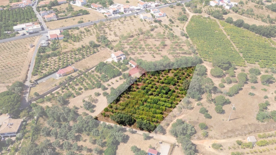 Terreno Agricola ou Rústico para Venda em Albufeira e Olhos de Água Foto 3