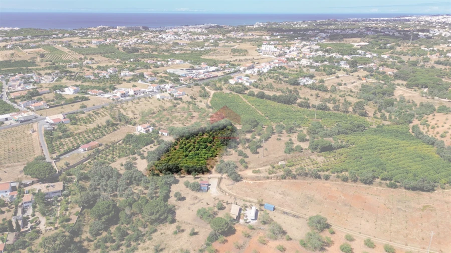 Terreno Agricola ou Rústico para Venda em Albufeira e Olhos de Água Foto 12