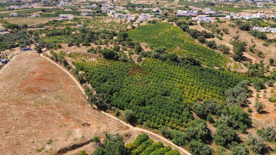 Terreno Agricola ou Rústico para Venda em Albufeira e Olhos de Água Foto 43