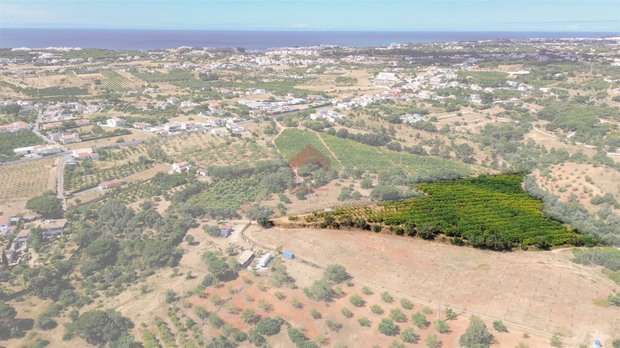 Terreno Agricola ou Rústico para Venda em Albufeira e Olhos de Água Foto 14