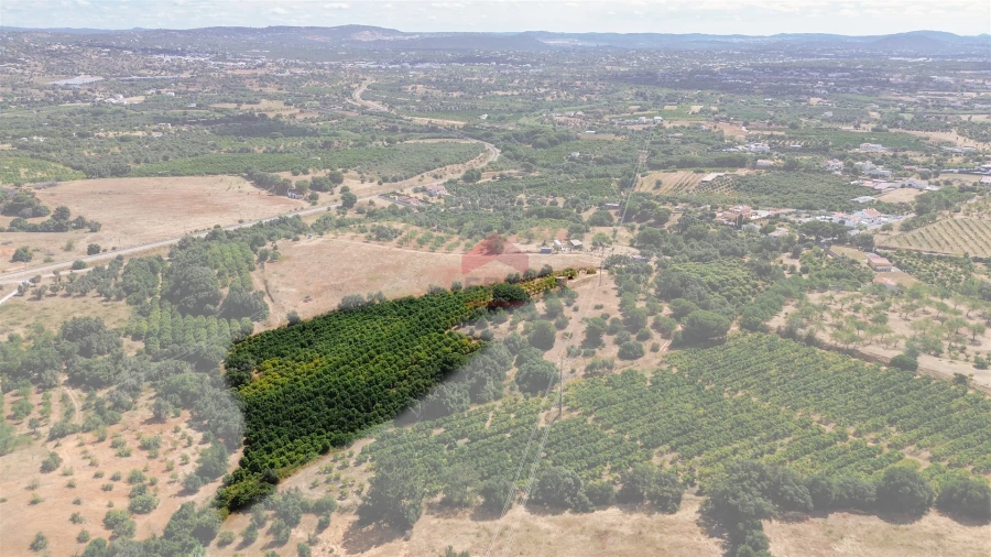 Terreno Agricola ou Rústico para Venda em Albufeira e Olhos de Água Foto 27