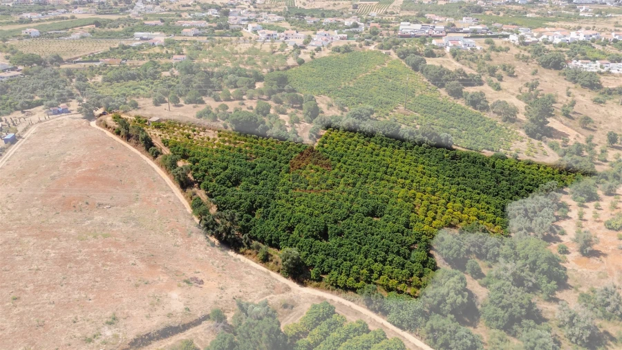 Terreno Agricola ou Rústico para Venda em Albufeira e Olhos de Água Foto 42