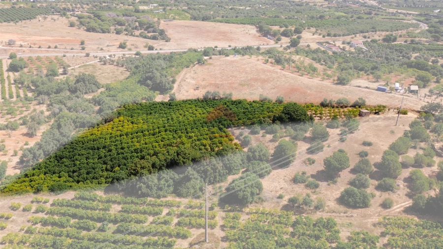 Terreno Agricola ou Rústico para Venda em Albufeira e Olhos de Água Foto 40