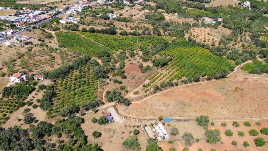 Terreno Agricola ou Rústico para Venda em Albufeira e Olhos de Água Foto 8
