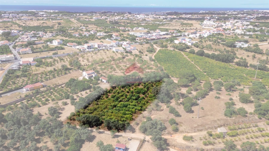 Terreno Agricola ou Rústico para Venda em Albufeira e Olhos de Água Foto 32