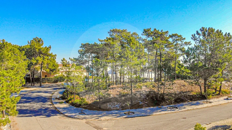 Moradia T4 para Venda em Carvalhal Foto 19