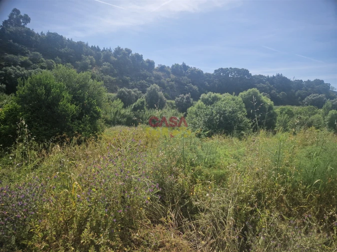 Moradia T3 para Venda em Alcanena e Vila Moreira Foto 19