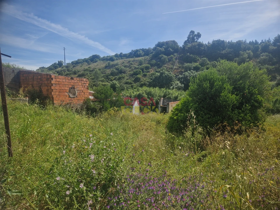 Moradia T3 para Venda em Alcanena e Vila Moreira Foto 25