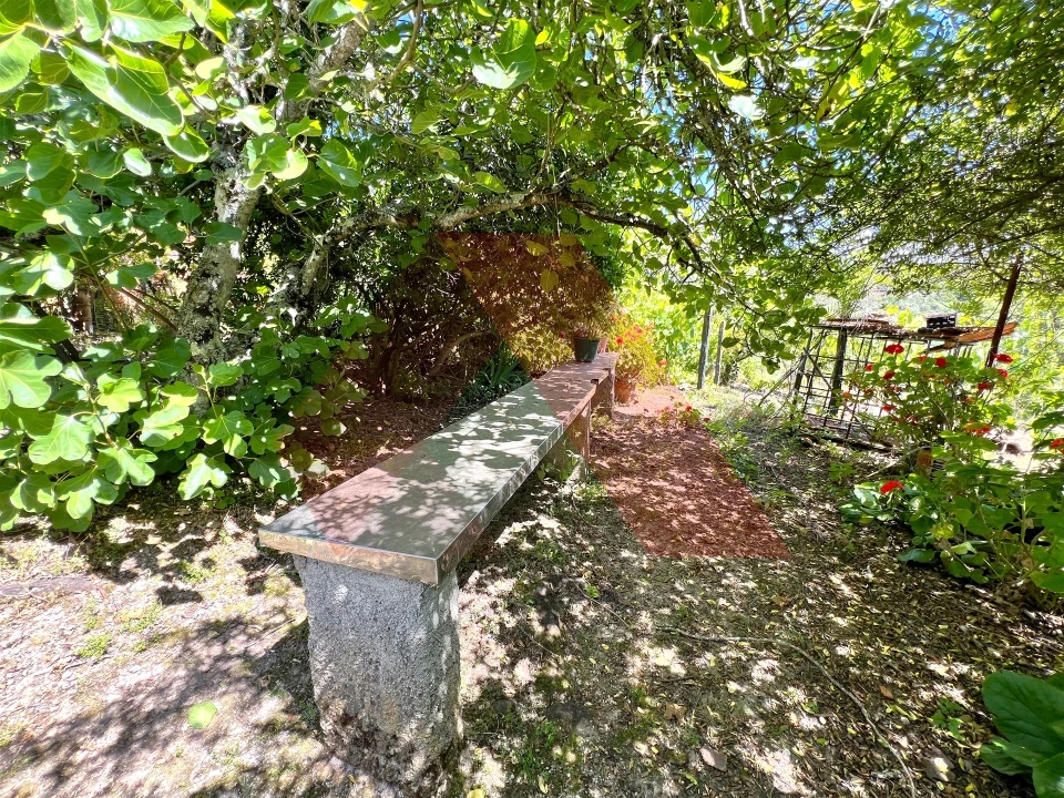 Terreno para Venda em Candosa Foto 8