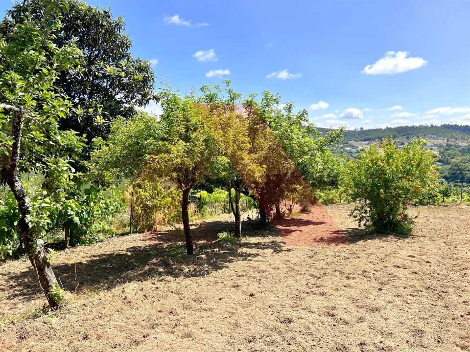 Terreno para Venda em Candosa Foto 5