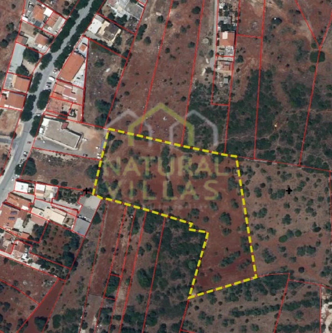 Terreno Agricola ou Rústico para Venda em Almancil Foto 1