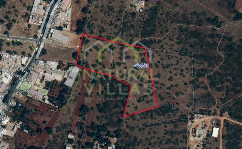 Terreno Agricola ou Rústico para Venda em Almancil Foto 2